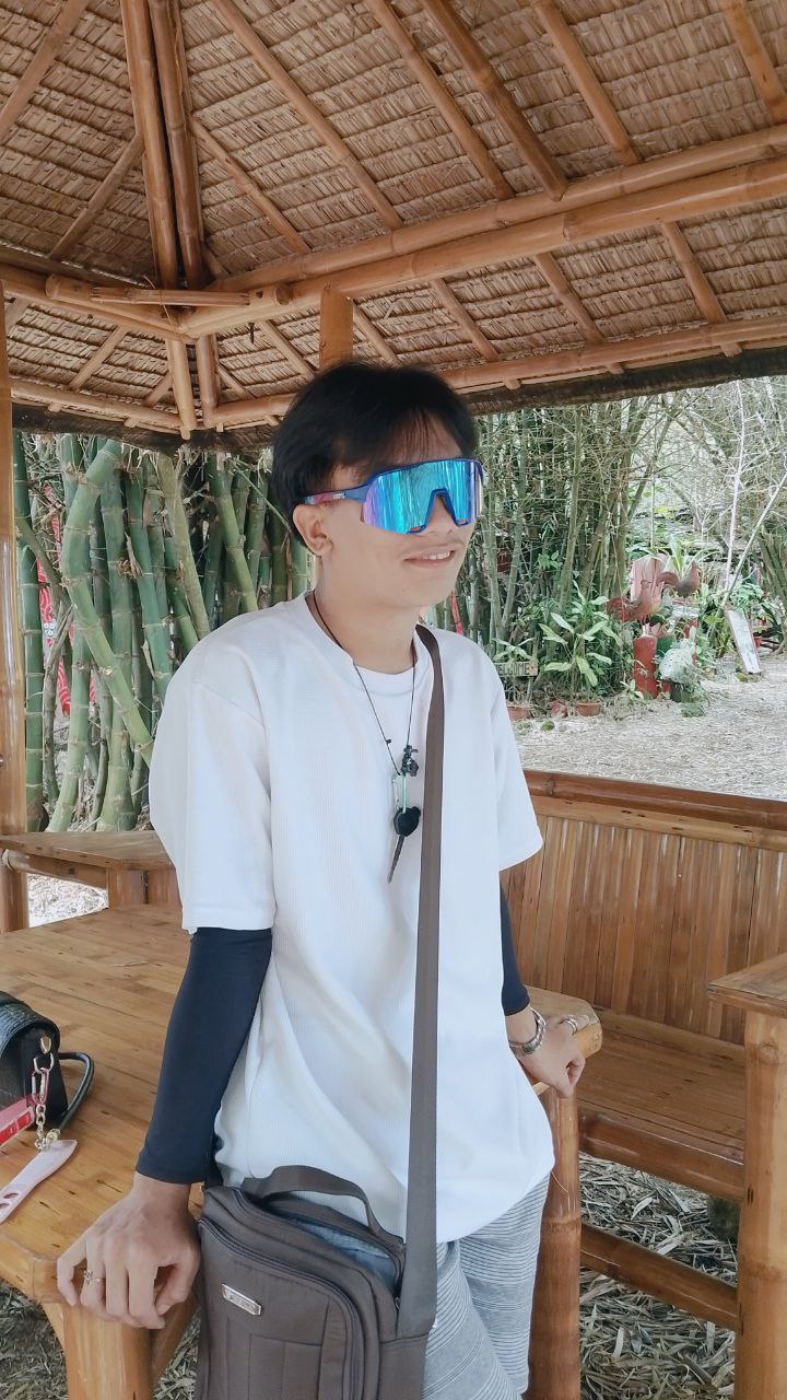 Bamboo 27